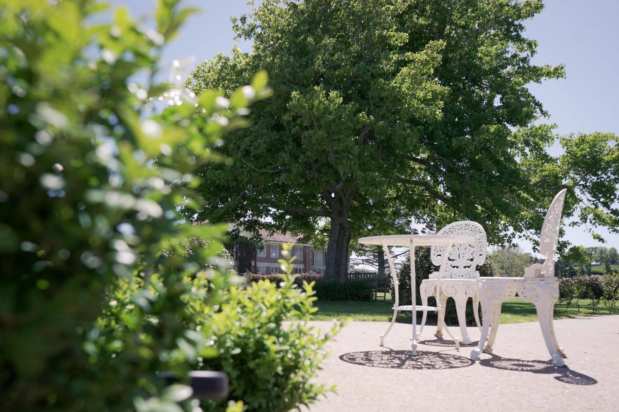 Гостевой дом Lavalla Estate Tuakau Экстерьер фото